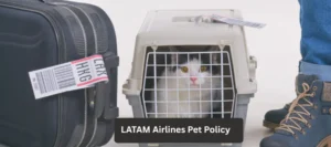 LATAM Airlines Pet Policy