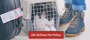 JSX Airlines Pet Policy