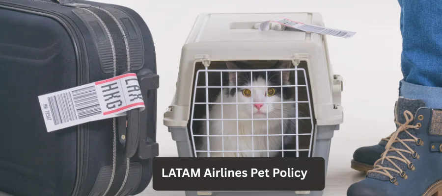 LATAM Airlines Pet Policy