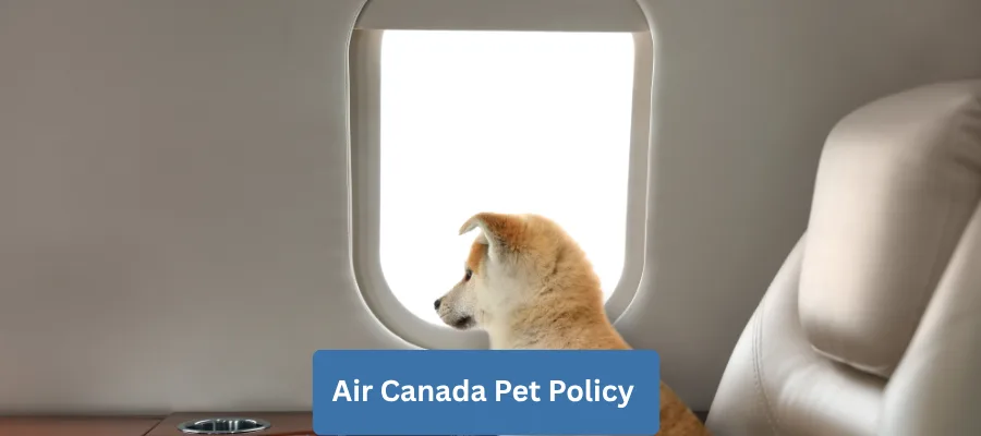 Air Canada Pet Policy