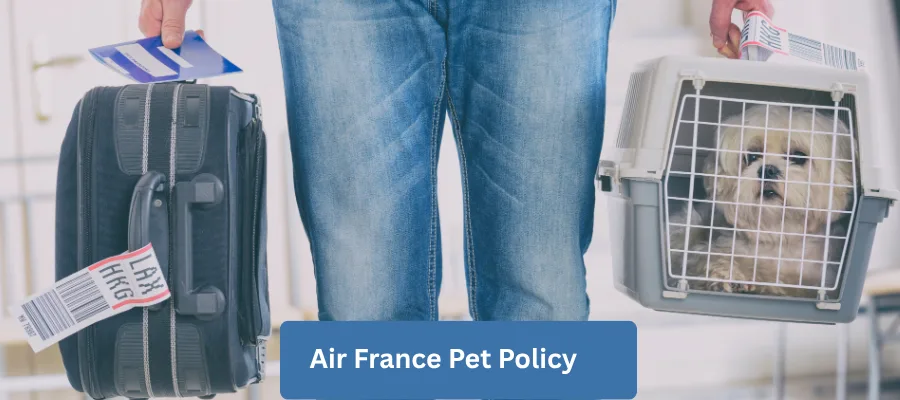 Air France Pet Policy