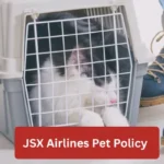 JSX Airlines Pet Policy
