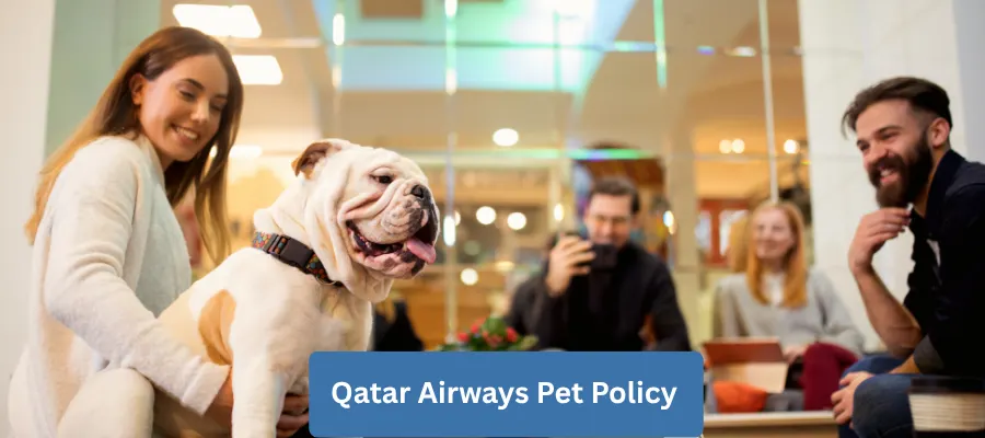 Qatar Airways Pet Policy