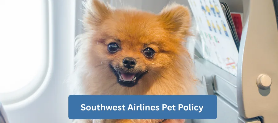 Southwest Airlines Pet Policy